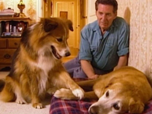 It's A Miracle - 201: Jennifer's Instinct; Dog Angel; O.R. Miracle; High School Reunion
