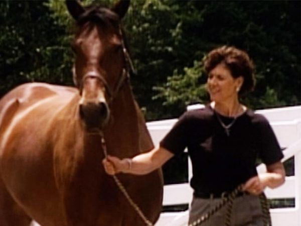It's A Miracle - 203: Wild Ride; Stranger in the Night; Rebounding in Life; Heavenly Adoption
