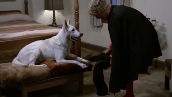 The Greatest American Hero - Lilacs, Mr. Maxwell