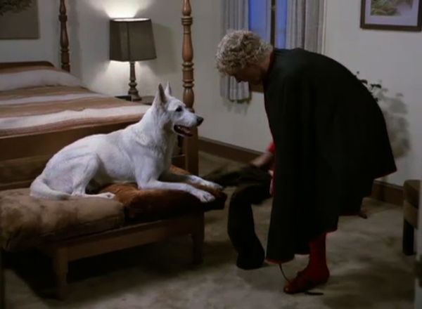 The Greatest American Hero - Lilacs, Mr. Maxwell