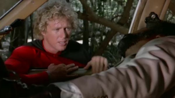 The Greatest American Hero - A Chicken in Every Plot