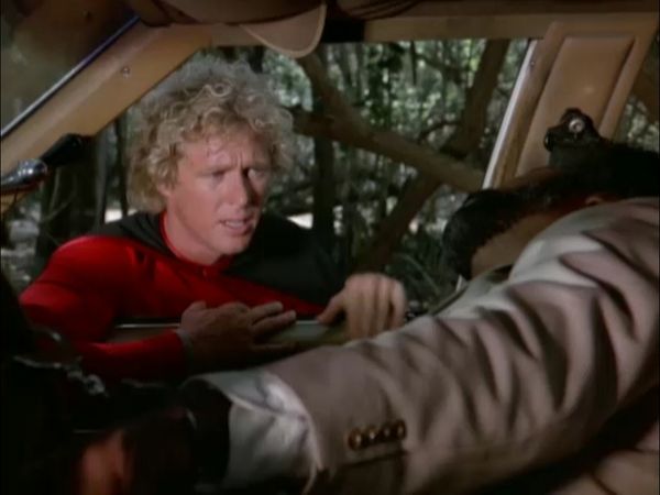 The Greatest American Hero - A Chicken in Every Plot