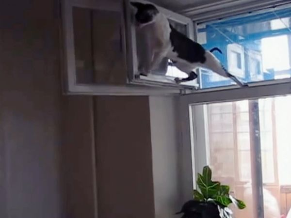 Idiot TV - Idiot TV