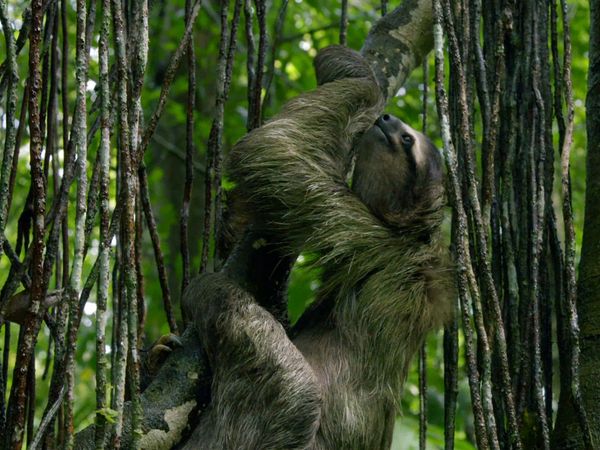 Escape to Costa Rica - Escape To Costa Rica