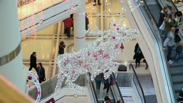 Caught on Camera - Caught on Camera Christmas Special