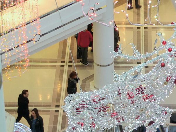 Caught on Camera - Caught on Camera Christmas Special