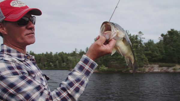Castaways Canadian Wilderness - Lip Service