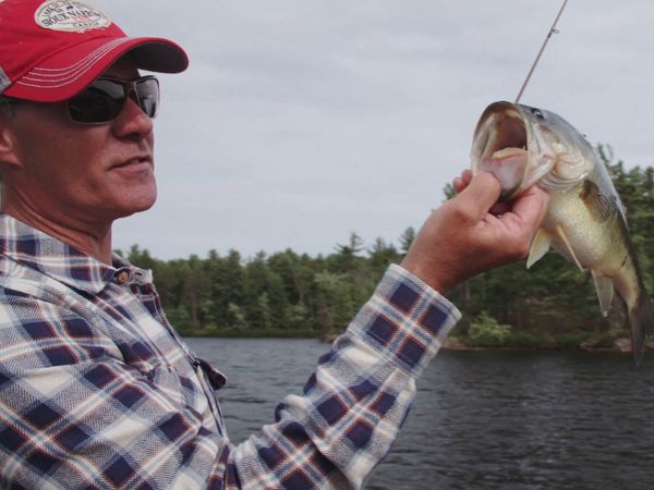 Castaways Canadian Wilderness - Lip Service
