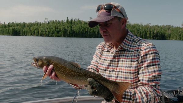 Castaways Canadian Wilderness - Lip Service