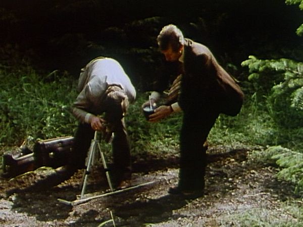 Derrick - Tote im Wald