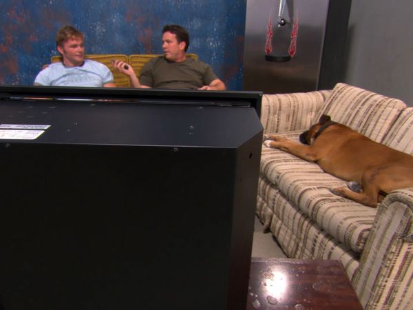 Junk Brothers - The Blue Bed Frame & The Lounge Chair