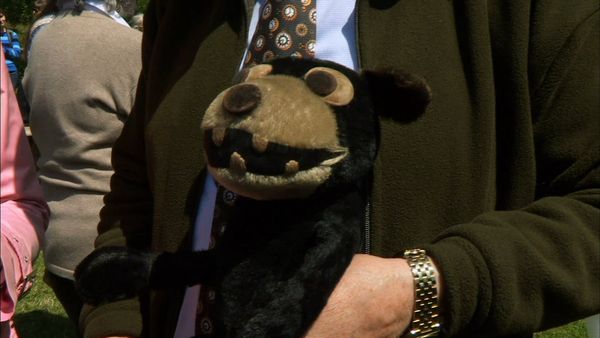 Antiques Roadshow UK - Aberystwyth University 1