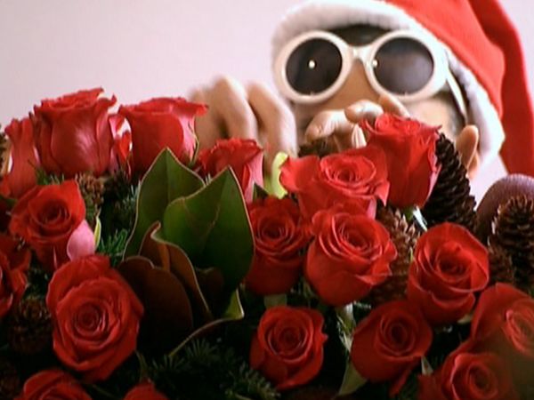 Petal Pushers - Petal Pushers