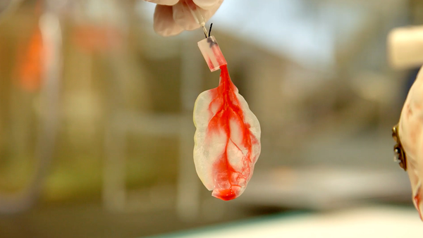 La naturaleza lo hace mejor - Medical Science