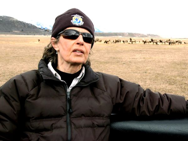 Xploration Awesome Planet - Animal Migrations