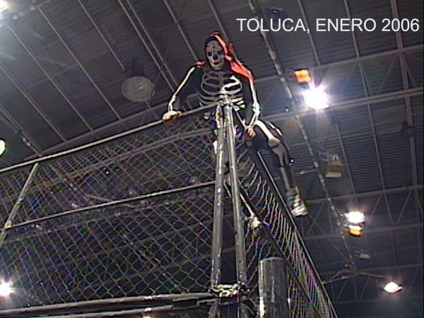 Lucha libre AAA - TOLUCA