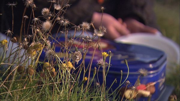 Rachel Allen's Easy Meals - Sunday Lunch