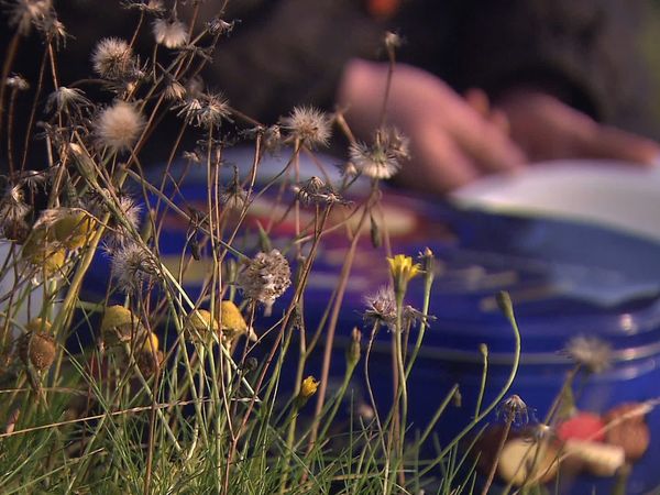 Rachel Allen's Easy Meals - Sunday Lunch