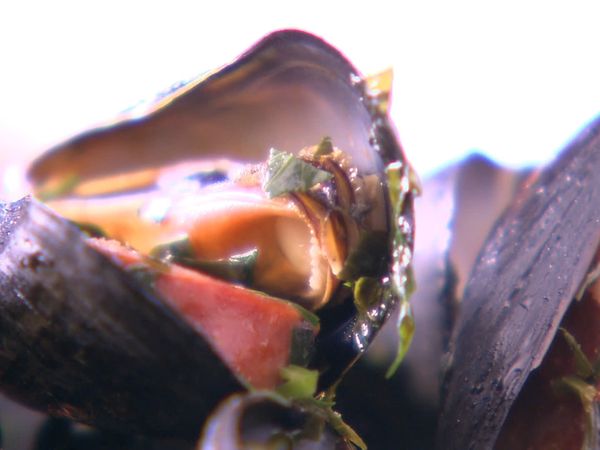 Rachel Allen's Easy Meals - Take a Few Ingredients