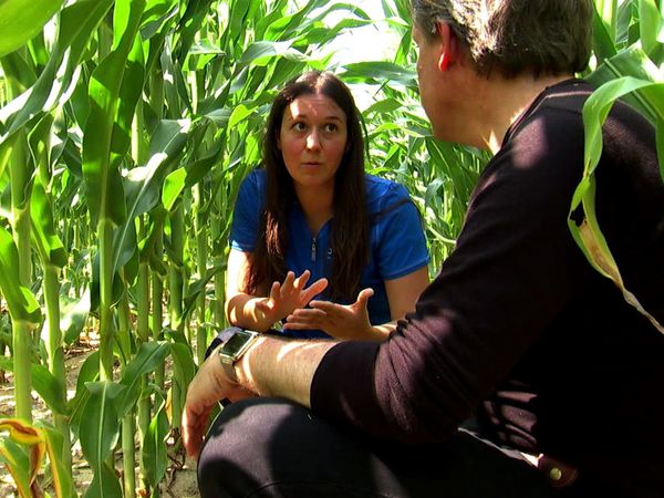 Xploration Earth 2050 - Growing Food