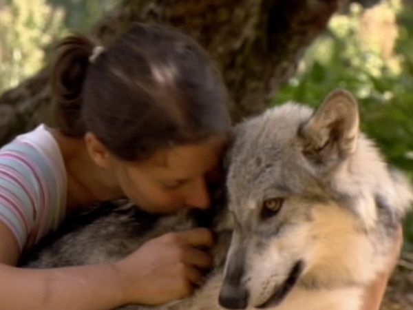 Teaming Up With Wolves - Episode 1