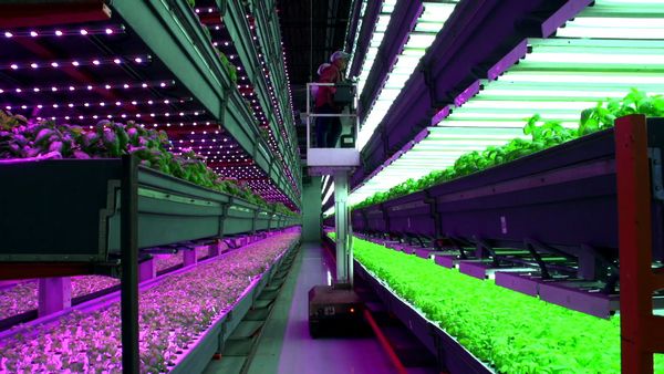 Xploration Earth 2050 - Urban Farmer