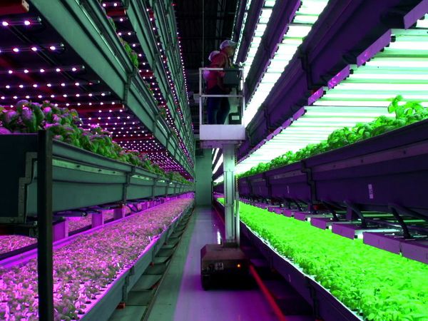 Xploration Earth 2050 - Urban Farmer