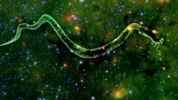 Xploration Outer Space - Top 20 Greatest Moments in Space