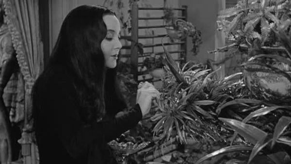 The Addams Family - Amnesia In The Addams Family