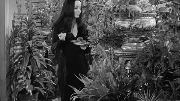 The Addams Family - New Neighbors Meet The Addams Family