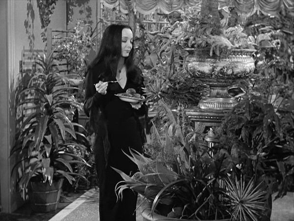 The Addams Family - New Neighbors Meet The Addams Family