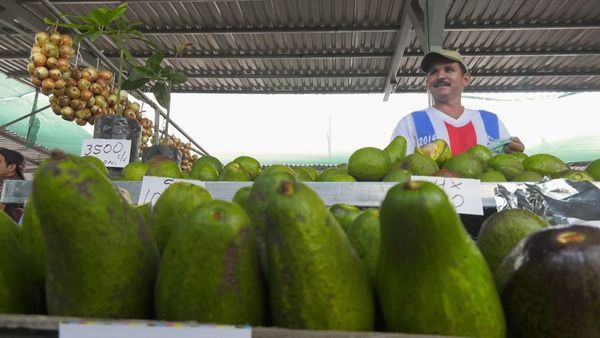 Españoles en el mundo - Costa Rica