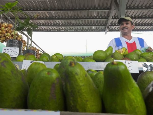 Españoles en el mundo - Costa Rica
