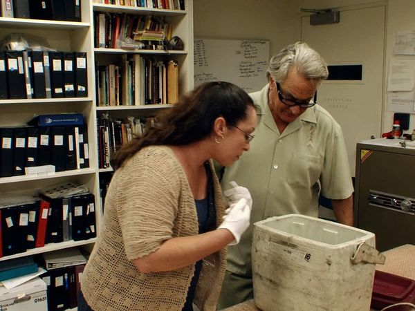 Storage Wars - Midnight in the Gardena Good and Evil