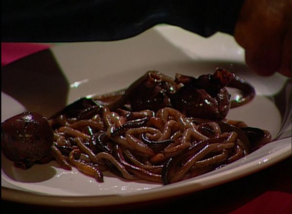 Fear Factor - Roof to Roof/Blood Meatballs/Submerged Fuselage