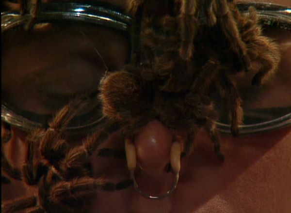 Fear Factor - Helicopter Box Jump/Tarantula Pit/Water Tube
