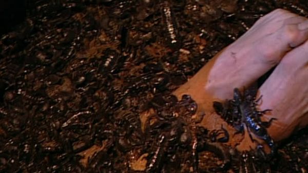 Fear Factor - A Burning Building, Scorpian Pit, Rotating Climbing Wall