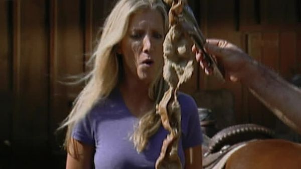Fear Factor - Barrel Rolling,Rat Transfer,Car Jump Into Pond