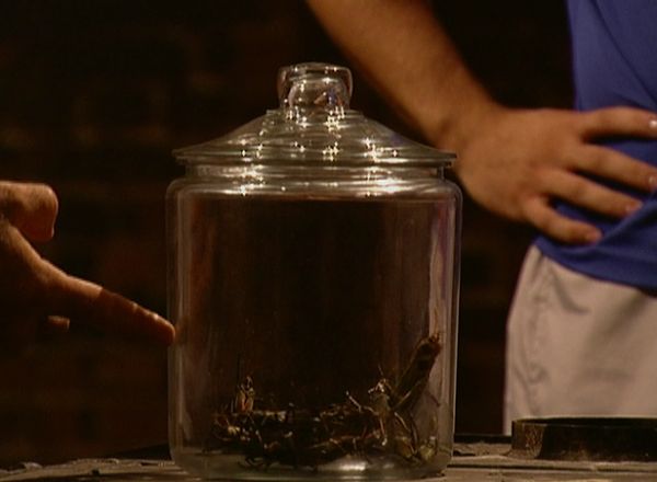 Fear Factor - Helicopter Flag Snag, Fondue Party, Eel Hang, Two Wheel Truck Ramp
