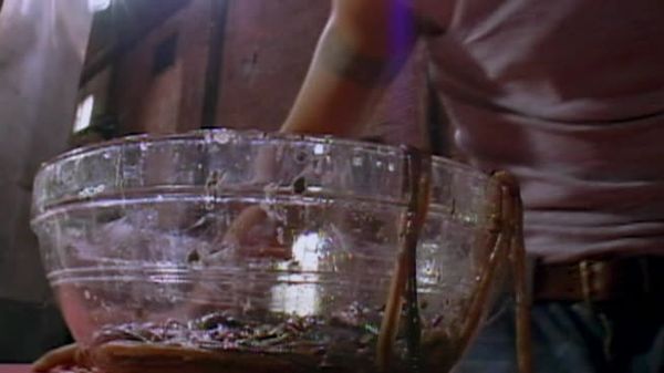 Fear Factor - Dune Buggy Drag, Bury Spouses Head, Heli Drop and Raft Pull
