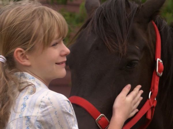 The Saddle Club - Back in the Saddle