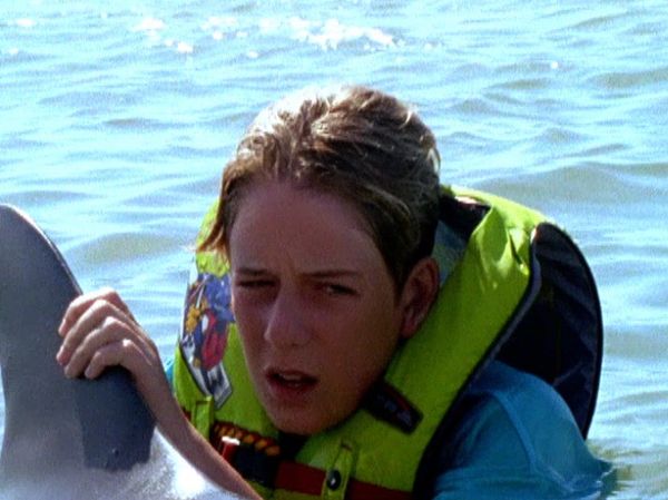 Flipper: The New Adventures - One Perfect Day