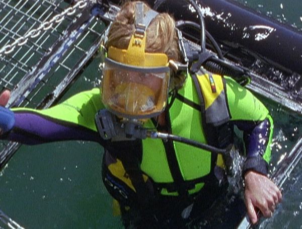 Flipper: The New Adventures - Predator, The