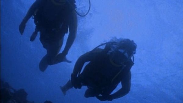 Flipper: The New Adventures - Muddy Water