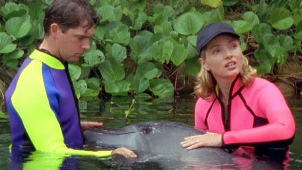 Flipper: The New Adventures - Class