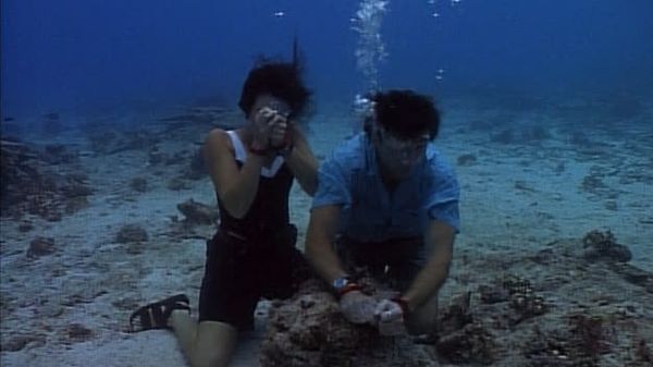 Flipper: The New Adventures - Pearl Maker