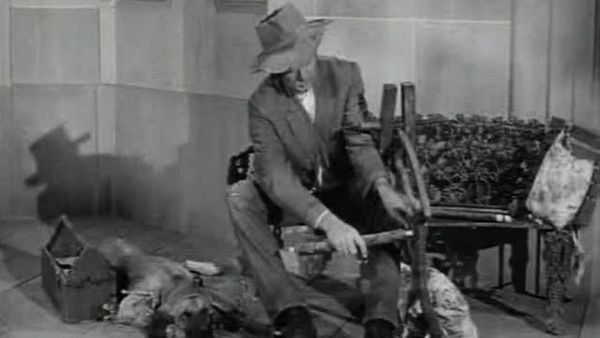 The Beverly Hillbillies - Chickadee Returns