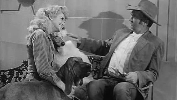 The Beverly Hillbillies - Duke Steals A Wife