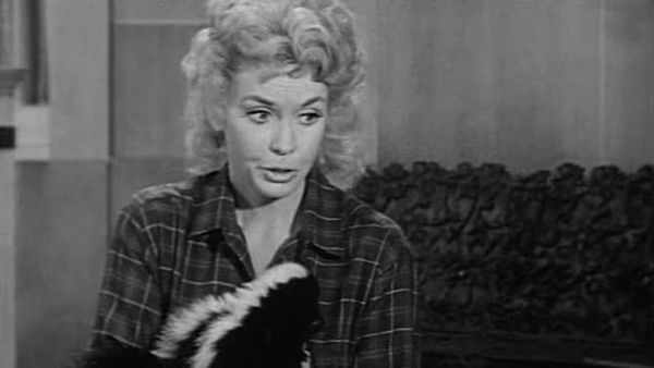The Beverly Hillbillies - Duke Becomes A Father