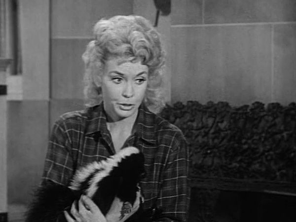 The Beverly Hillbillies - Duke Becomes A Father